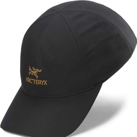 Arc'teryx Bird Word Trucker Hat