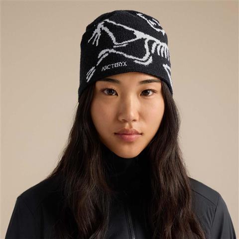 Arc'teryx Bird Head Toque