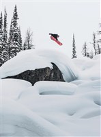 Burton Unisex Family Tree Hometown Hero Snowboard | Snowboards.com