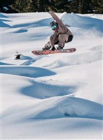 Burton Unisex Family Tree High Fidelity Snowboard
