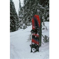 Rome Men's Ravine Free-The-Ride Camber Snowboard