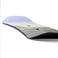 Burton Men's Custom Camber Snowboard - Jungle