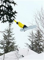 Burton Unisex Counterbalance Snowboard - Deco