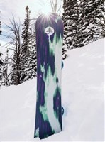 Burton Unisex Family Tree Alekesam Snowboard