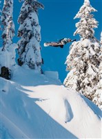 Burton Men's Custom Snowboard - Jungle