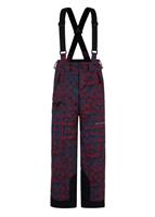 Spyder Propulsion Pant - Boy's - Network Print