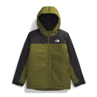 The North Face Boys' Freedom Insulated Jacket - Forest Olive / TNF Black