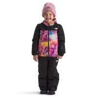 The North Face Kids' Freedom Insulated Jacket - Radiant Poppy Blowing Wind Print