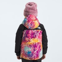 The North Face Kids' Freedom Insulated Jacket - Radiant Poppy Blowing Wind Print