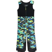 Spyder Toddler Expedition Pants - Cobalt Mountain Clouds