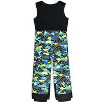 Spyder Toddler Expedition Pants - Cobalt Mountain Clouds