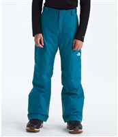 The North Face Boys' Freedom Insulated Pant