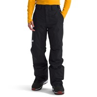 The North Face Freedom Insulated Pant - Men's - TNF Black-NPF