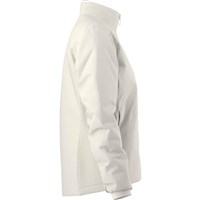 Arc'teryx Women's Atom Jacket - Arctic Silk