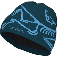Arc'teryx Bird Head Toque - Nightscape / Glacial