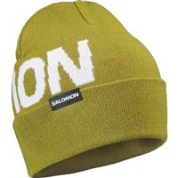 Salomon Hermitage Beanie - Cardamon Seed