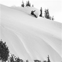 Lib Tech Men's Orca II Snowboard - All-Mountain Directional