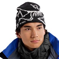 Arc'teryx Bird Head Toque - Orca