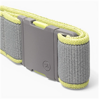 Arcade Carto Belt - Shadow / Clover