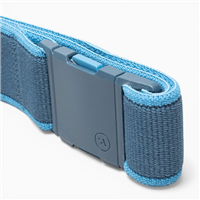 Arcade Carto Belt - Royal / Tide
