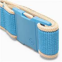 Arcade Carto Slim Belt - Tide / Sand