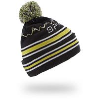 Spyder Icebox Hat - Boy's - Black Citron