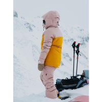 Burton Women's [ak] Embark GORE-TEX Jacket - Shadow Pink / Golden Rod