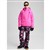 Shockwave Pink