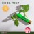 Cool Mint