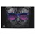 Bad Kitty