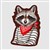 Raccoon Bandit