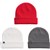 Gray Cloud / Gotham Gray / Geranium Red